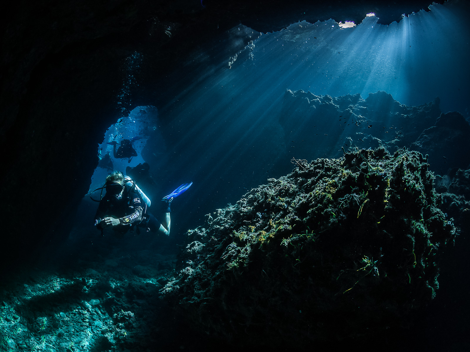 Koh Phangan Underwater Photography by Stefan Follows